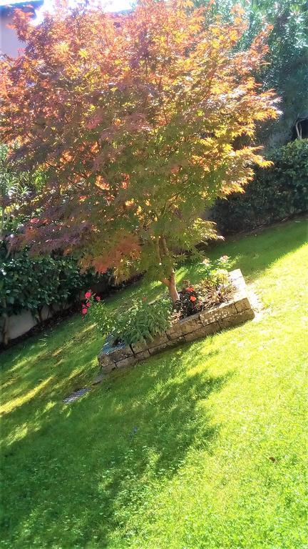 Casa Vacanze I Borghi Appartement Salionze Buitenkant foto